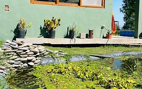 Casa Quinta Koi